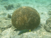 P1200140