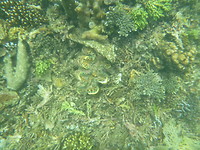 P1200165