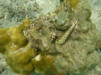 P1200113