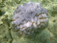 P1200112