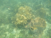 P1200094