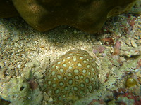 P1200131
