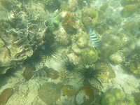 P1200096