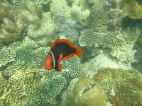 P1200155