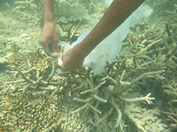 P1200158