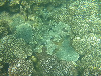 P1200152