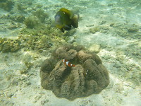 P1200120