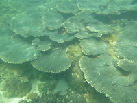 P1200153