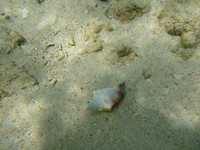 P1200107