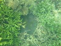 P1200149