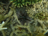 P1200160