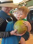 IMG-20191103-WA0025