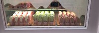 macarons in alle smaken en groottes