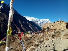 nepal24