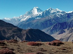 nepal42