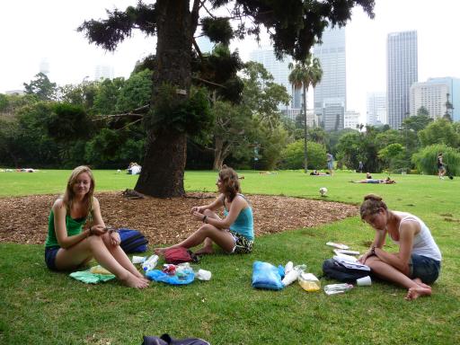 In park, my view