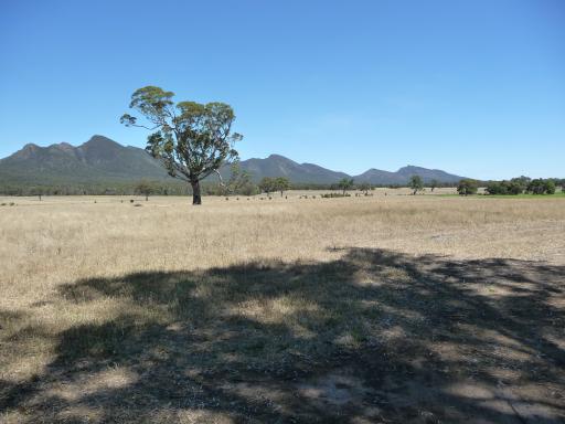 Australian landscape