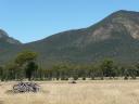 Australian landscape