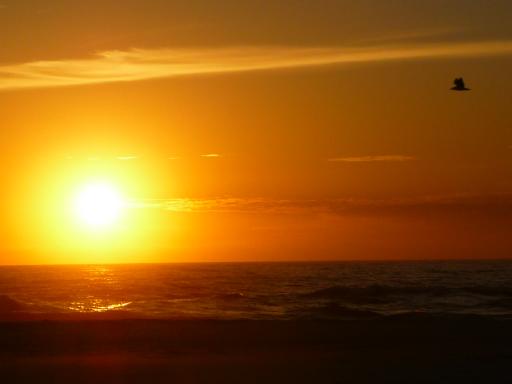 Sunrise