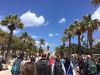 IMG_6718