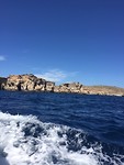 IMG_6954