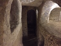 IMG_7226