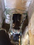 IMG_7237