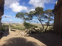 IMG_7257