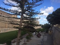 IMG_7259