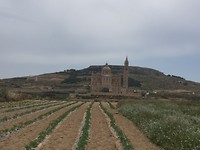 IMG_7875