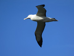 IMG_9041