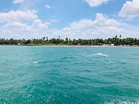 IMG_7228