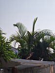 20230225_090645