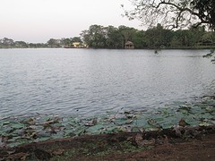 Nandankanan zoo