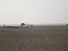 Puri beach