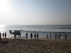Puri beach