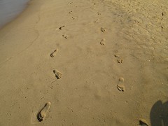 Puri beach