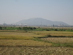 Treinuitzicht