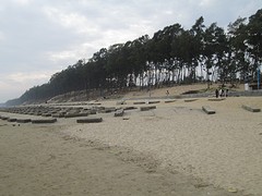 Digha duinen