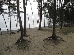 Digha duinen