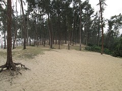Digha duinen