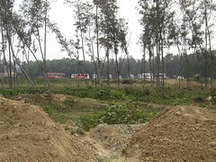 Digha