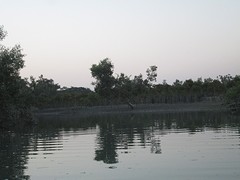 IMG_1935