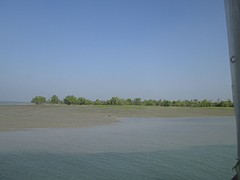 IMG_1969