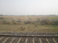 Trein