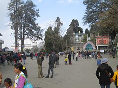 Darjeeling pelin