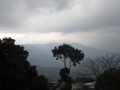 Darjeeling uit