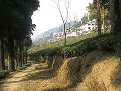 Darjeeling uitzicht