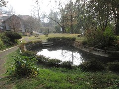 Botanische tuin Darjeeling