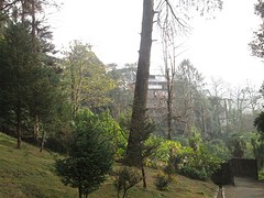 Botanische tuin Darjeeling